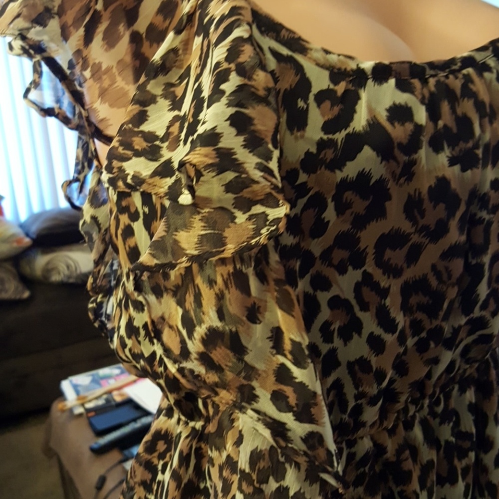 Leopard Print Dress - Picture 7 of 7